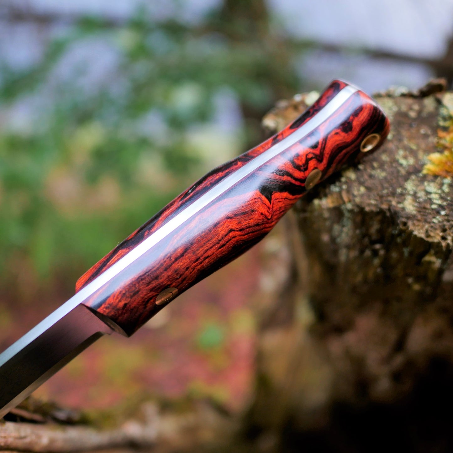 Explorer: 3V, Ironwood with Red G10 Liners