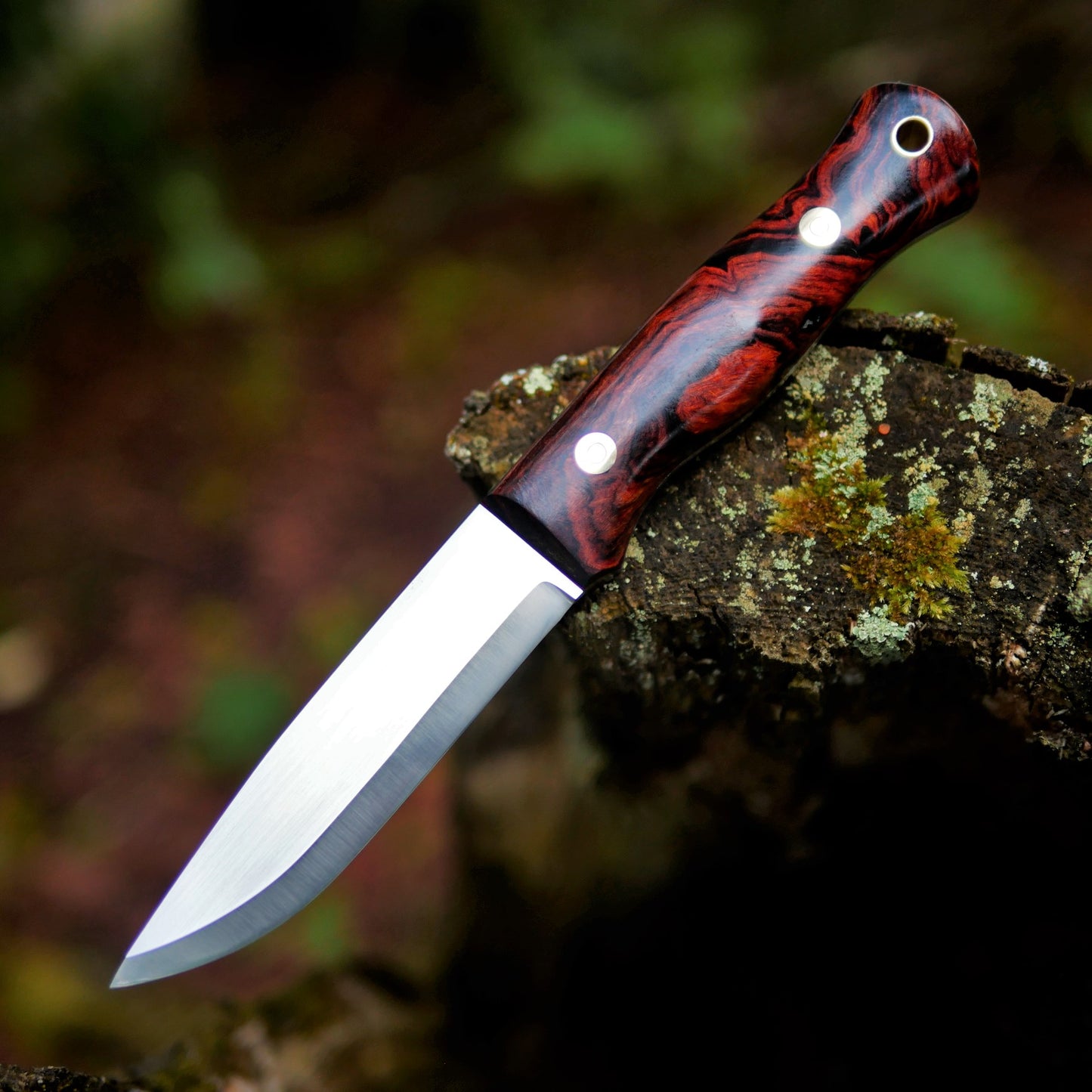 Explorer: 3V, Ironwood with Red G10 Liners
