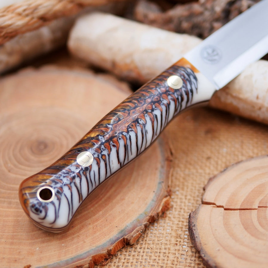 Explorer: 3V, Cast Pine Cone
