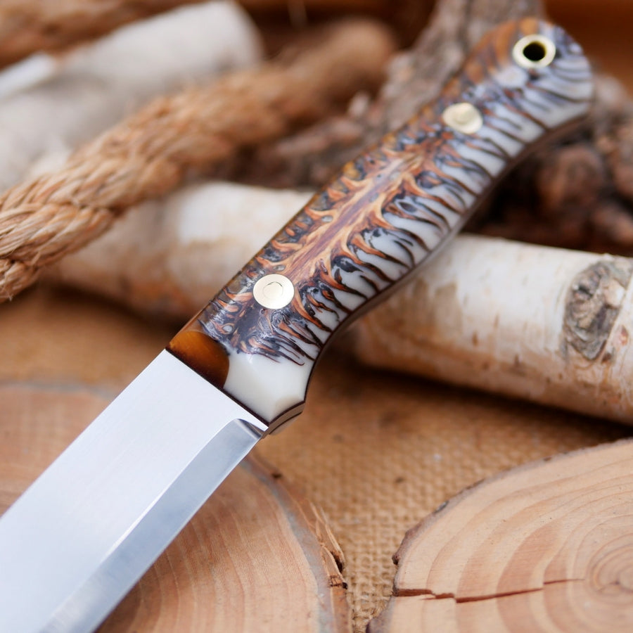 Explorer: 3V, Cast Pine Cone