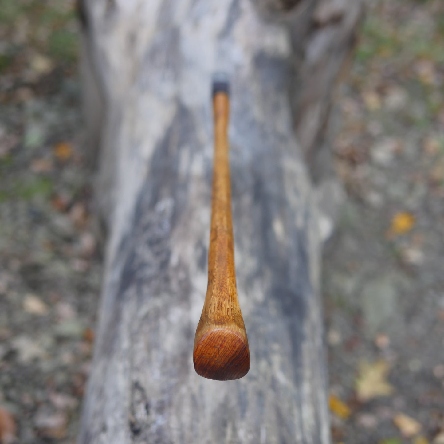 American Dayton "Boy's Axe": Rehandled, Regound, Custom Sheath