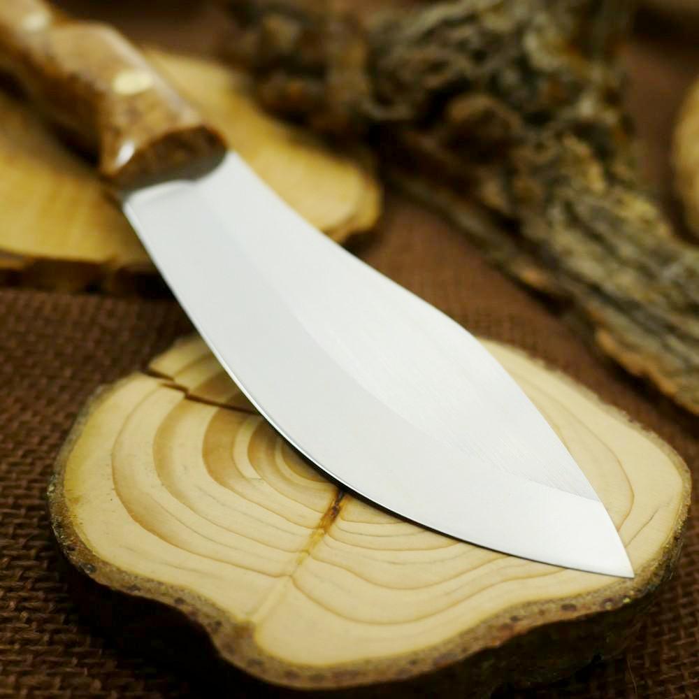 Guide #1: Karelian Birch & Brown - Adventure Sworn Bushcraft Co.