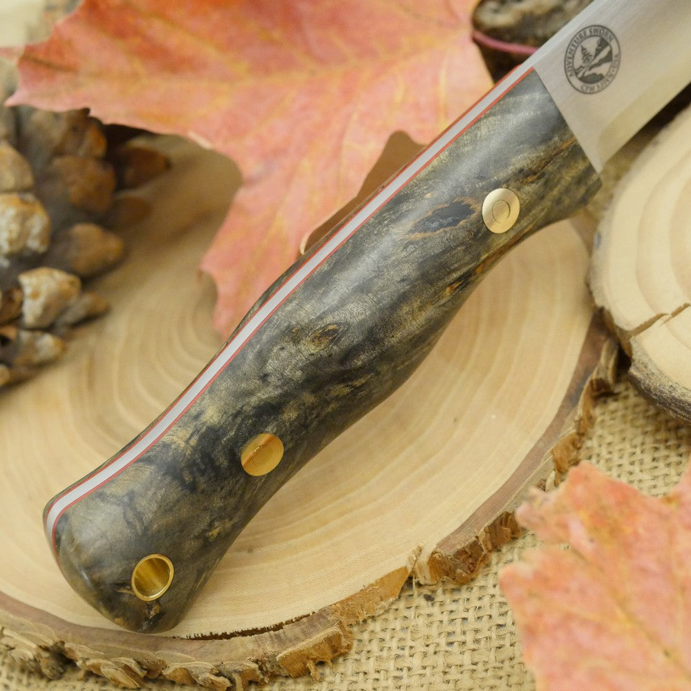 Mountaineer: Buckeye Burl & Red