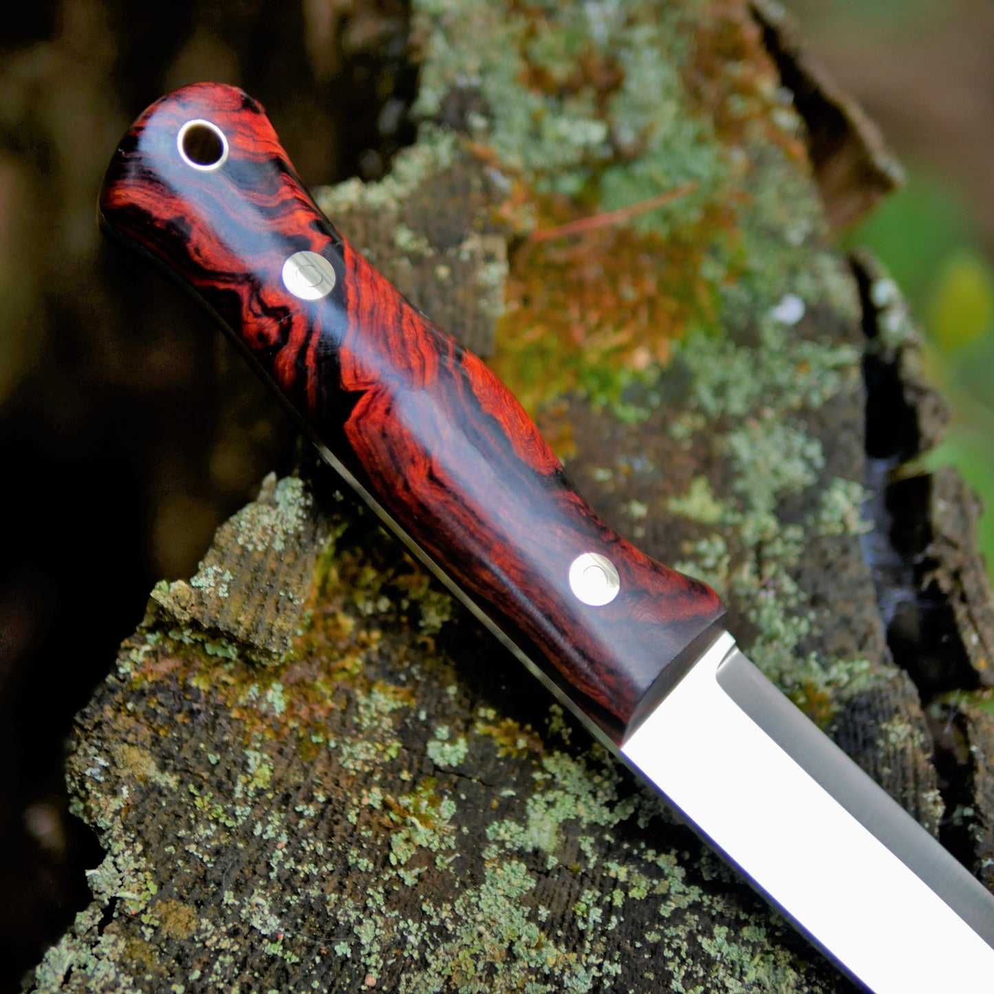 Explorer: 3V, Ironwood with Red G10 Liners
