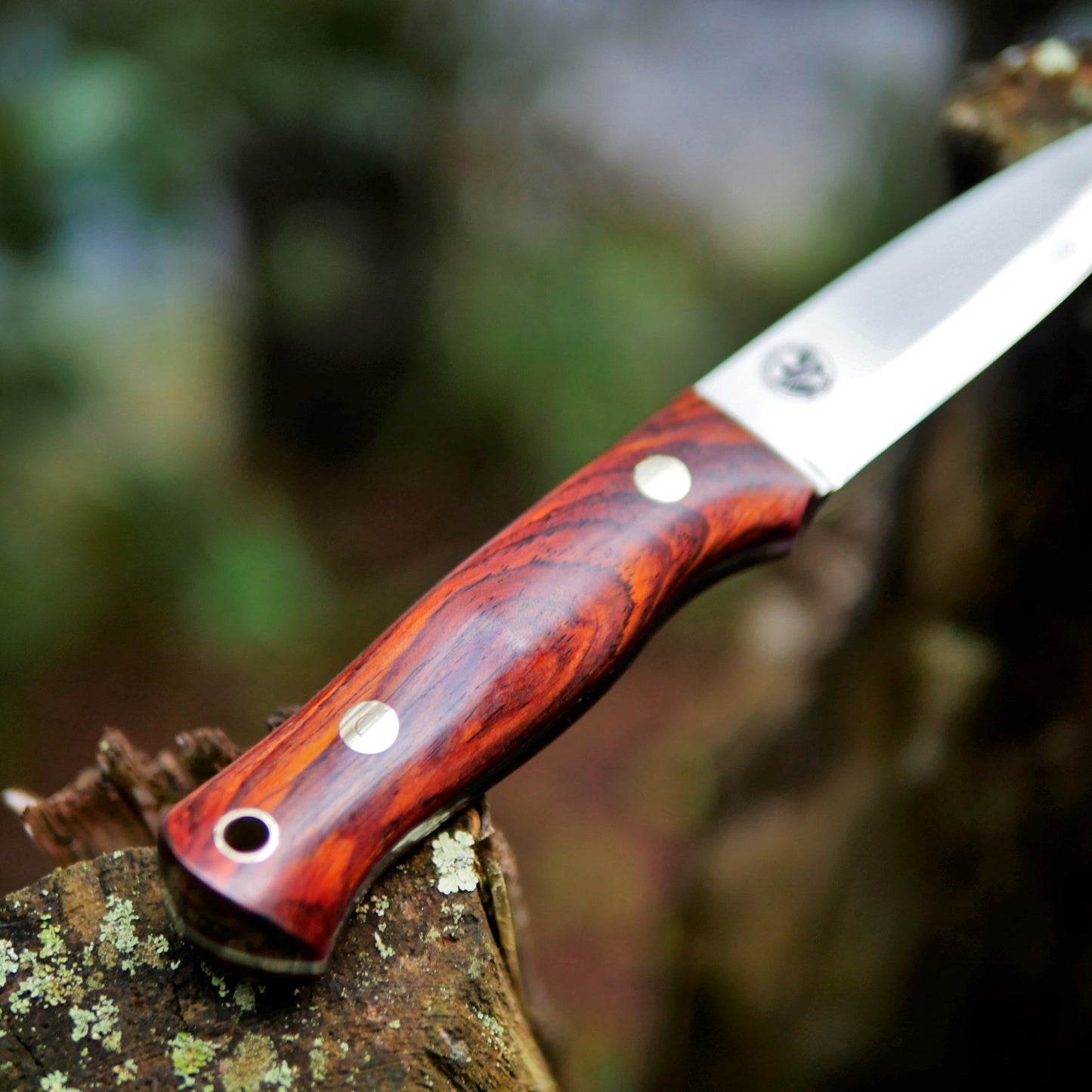 Classic: O1, Cocobolo with Red G10 liners