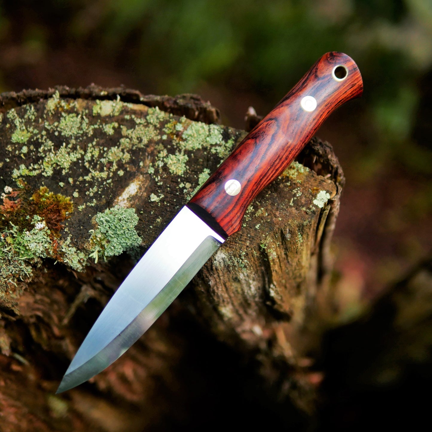 Classic: O1, Cocobolo with Red G10 liners