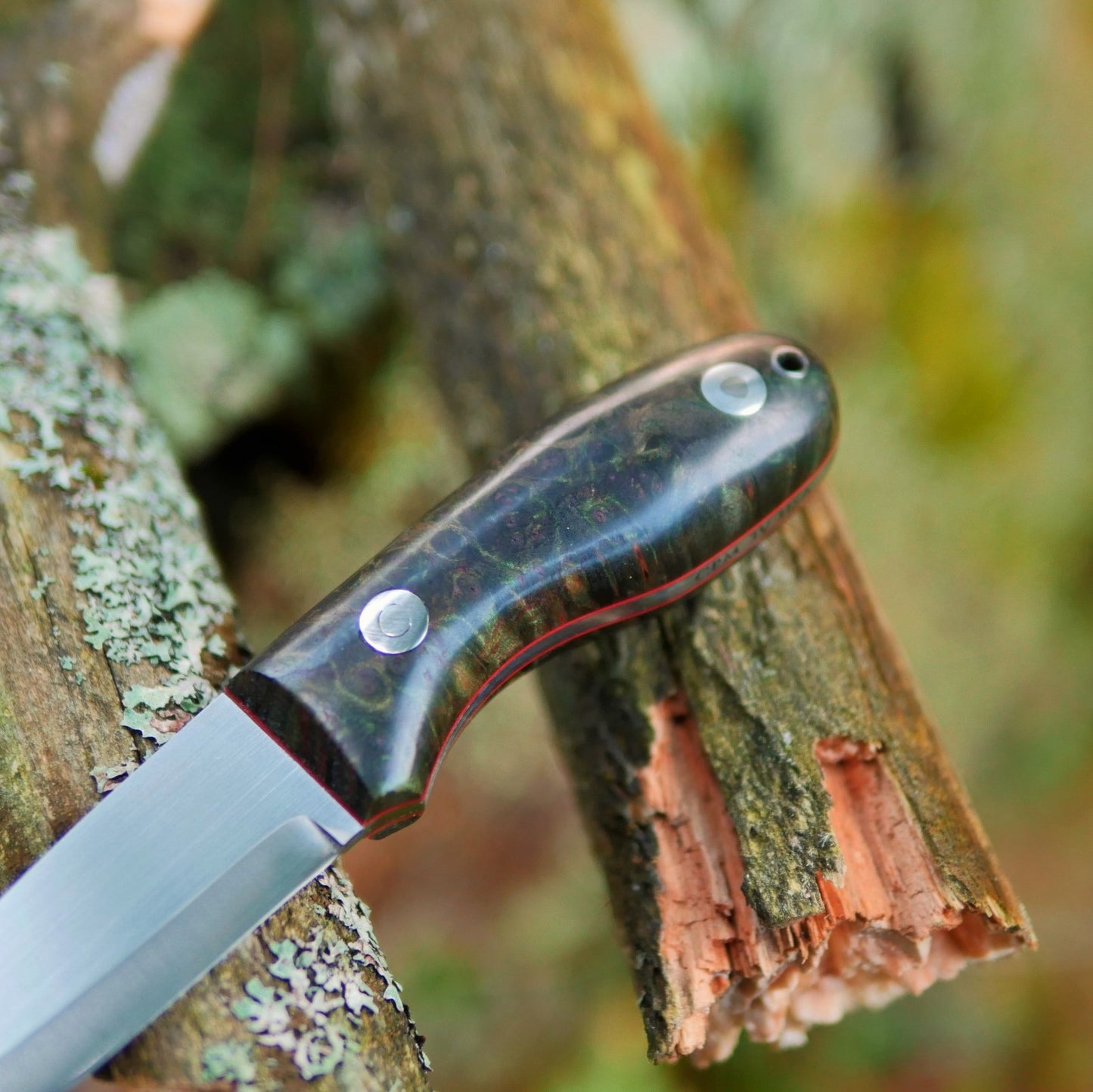Walker: 3V, Green Redwood Burl and Cinnamon Liners