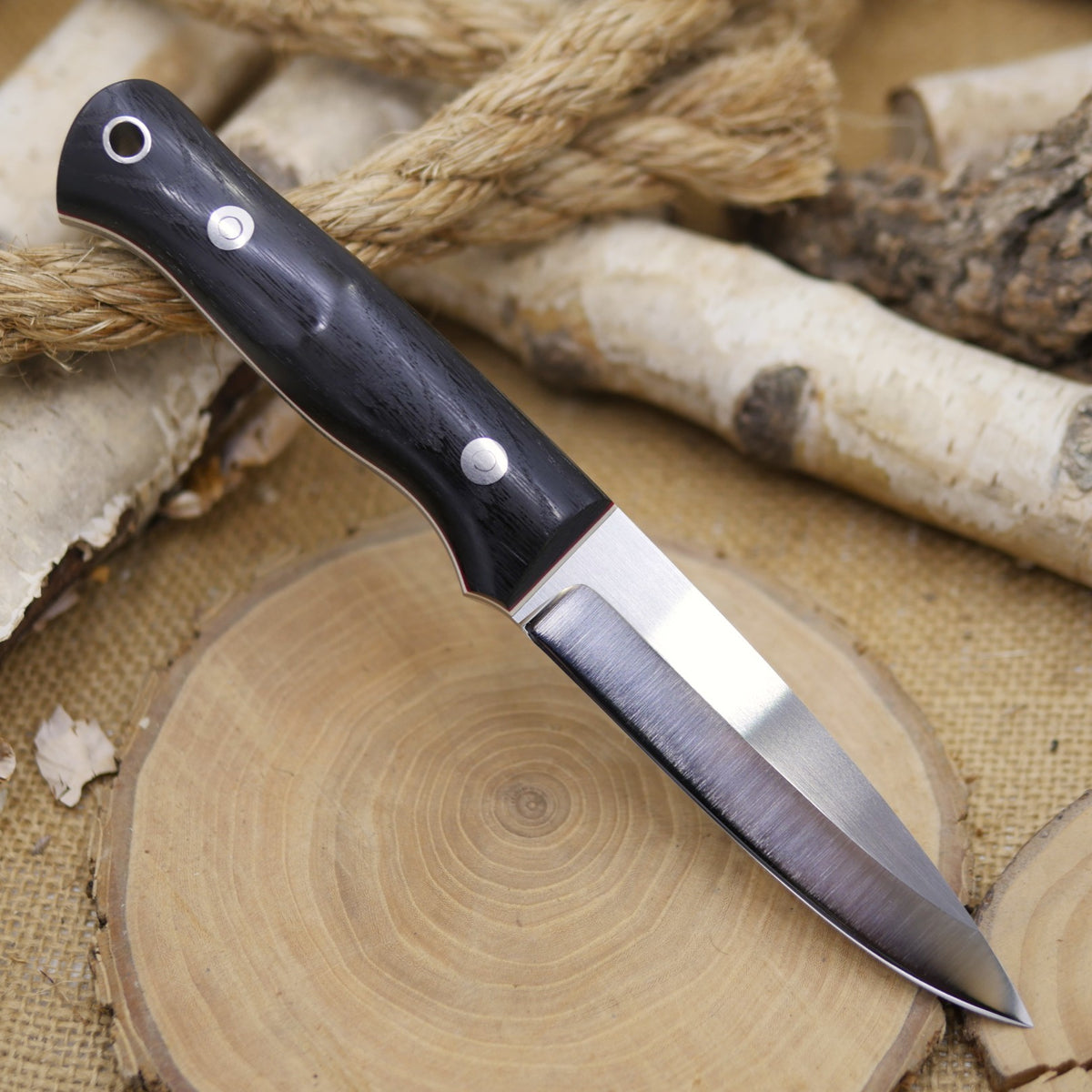 Classic: Saber Convex, Bog Oak, White & Red Liners