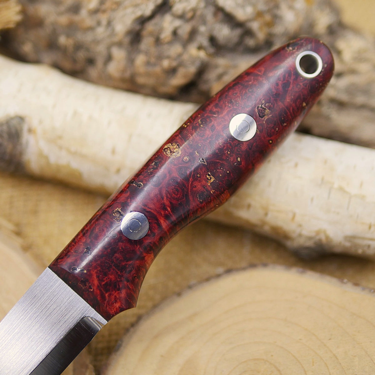 Wayfarer: Red Box Elder Burl