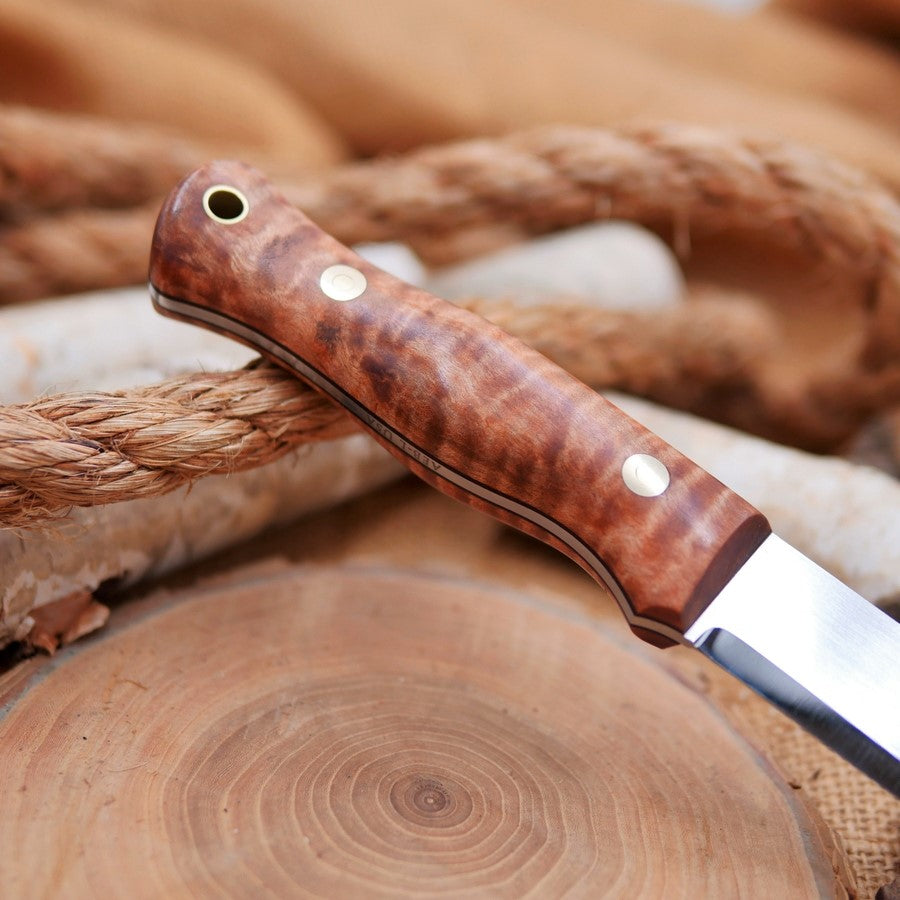 Explorer: Curly maple, AEB-L scandi