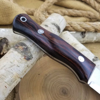 Mountaineer: Desert Ironwood