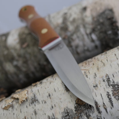 Mountaineer: Brown Canvas, Thick White & Thin Red
