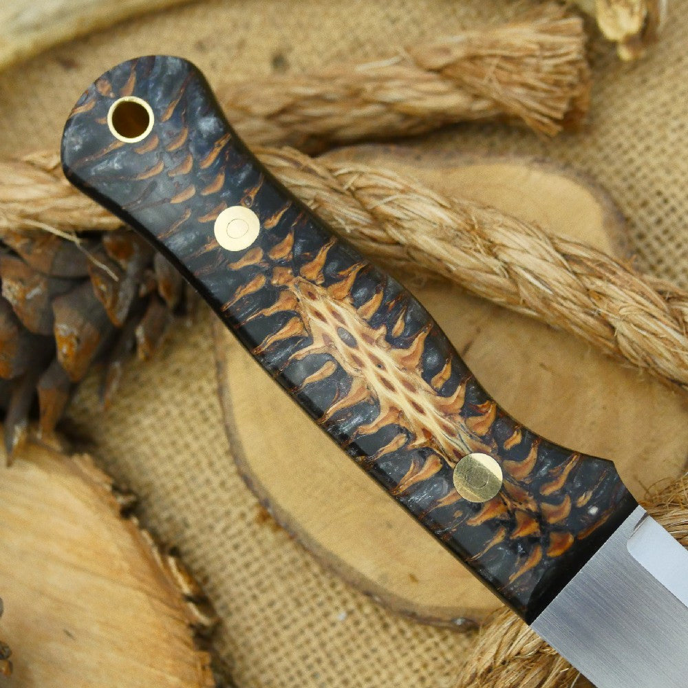 Mountaineer: Black Pine Cone