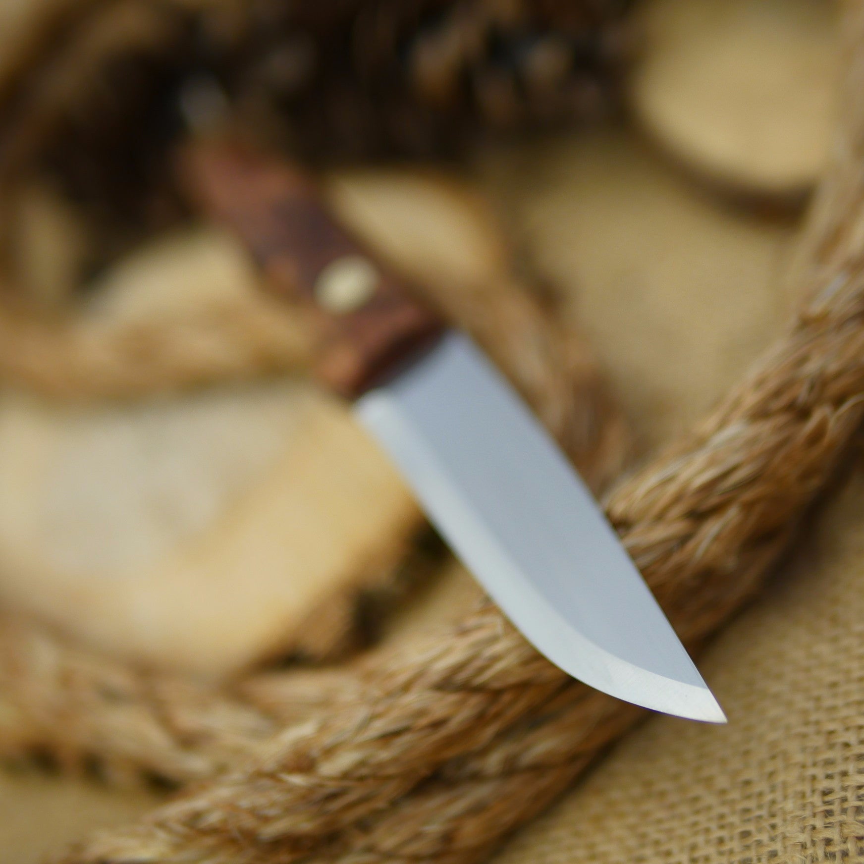 Hiker: Redwood Burl & Taper - Adventure Sworn Bushcraft Co.