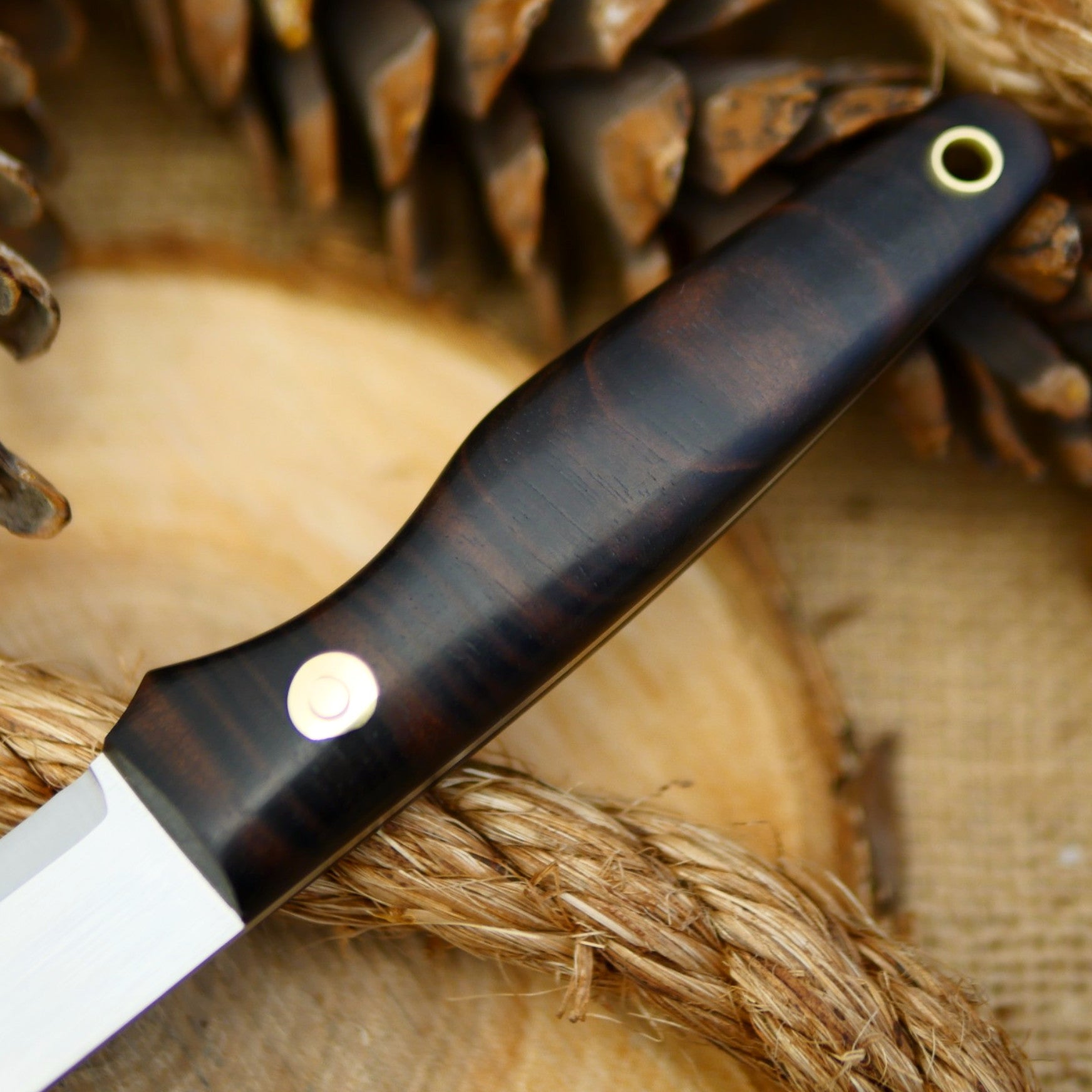Hiker: Ziricote & Taper - Adventure Sworn Bushcraft Co.