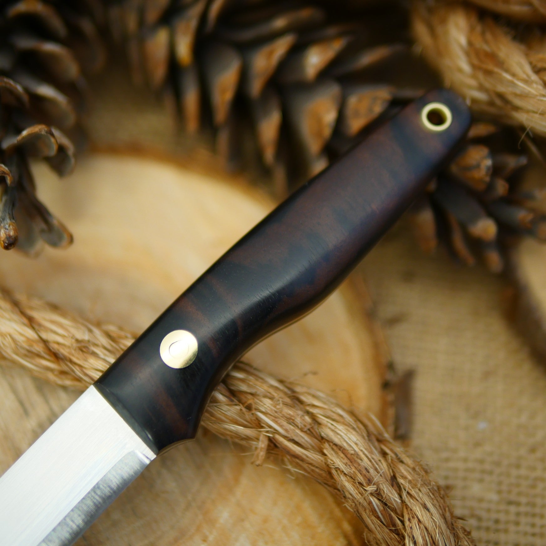 Hiker: Ziricote & Taper - Adventure Sworn Bushcraft Co.