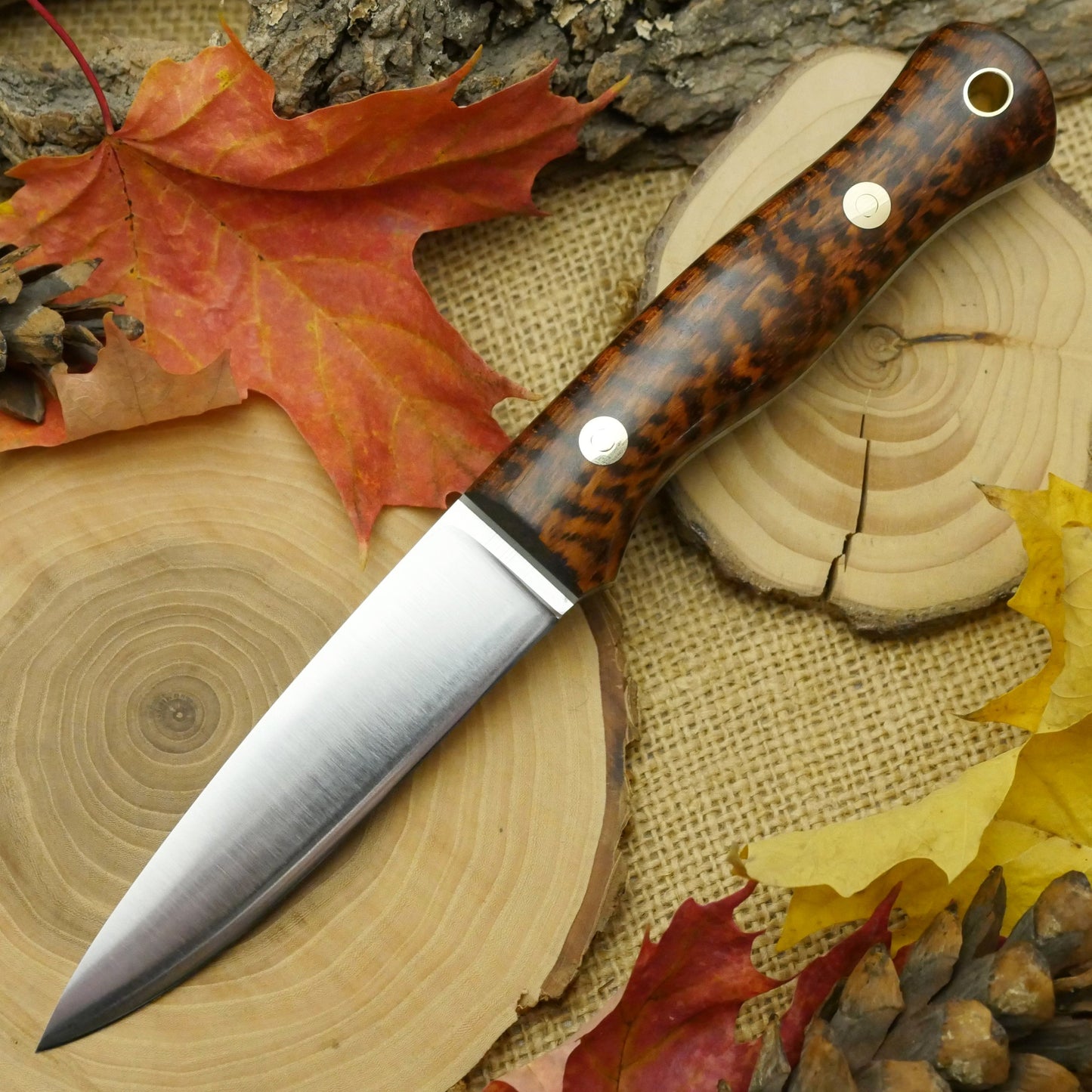 Mountaineer: Snakewood, Moonglow & Black Liners