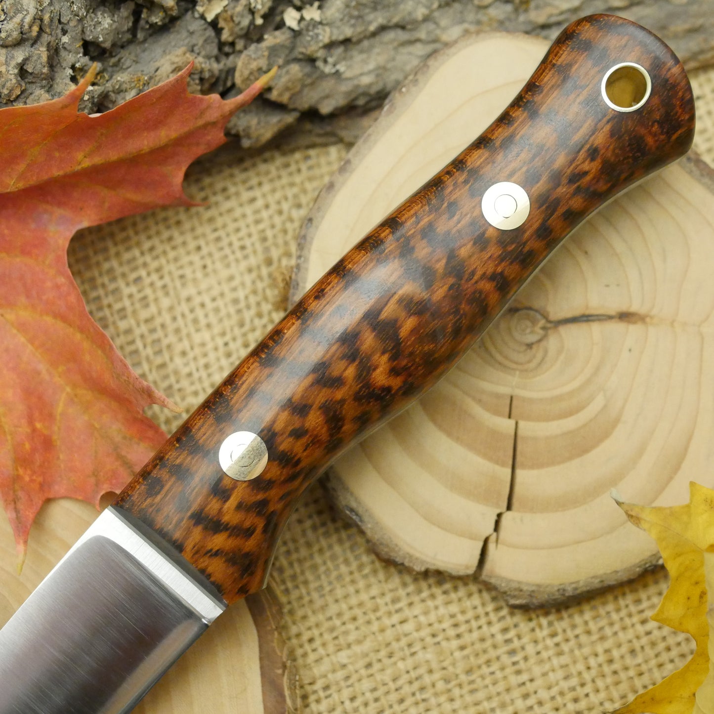 Mountaineer: Snakewood, Moonglow & Black Liners