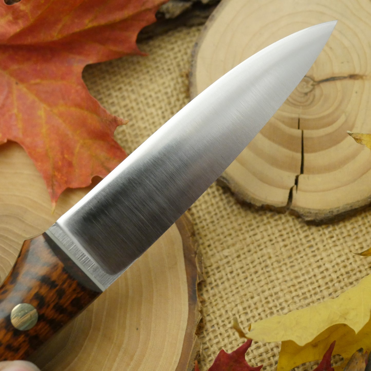 Mountaineer: Snakewood, Moonglow & Black Liners