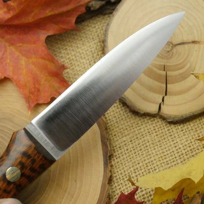Mountaineer: Snakewood, Moonglow & Black Liners