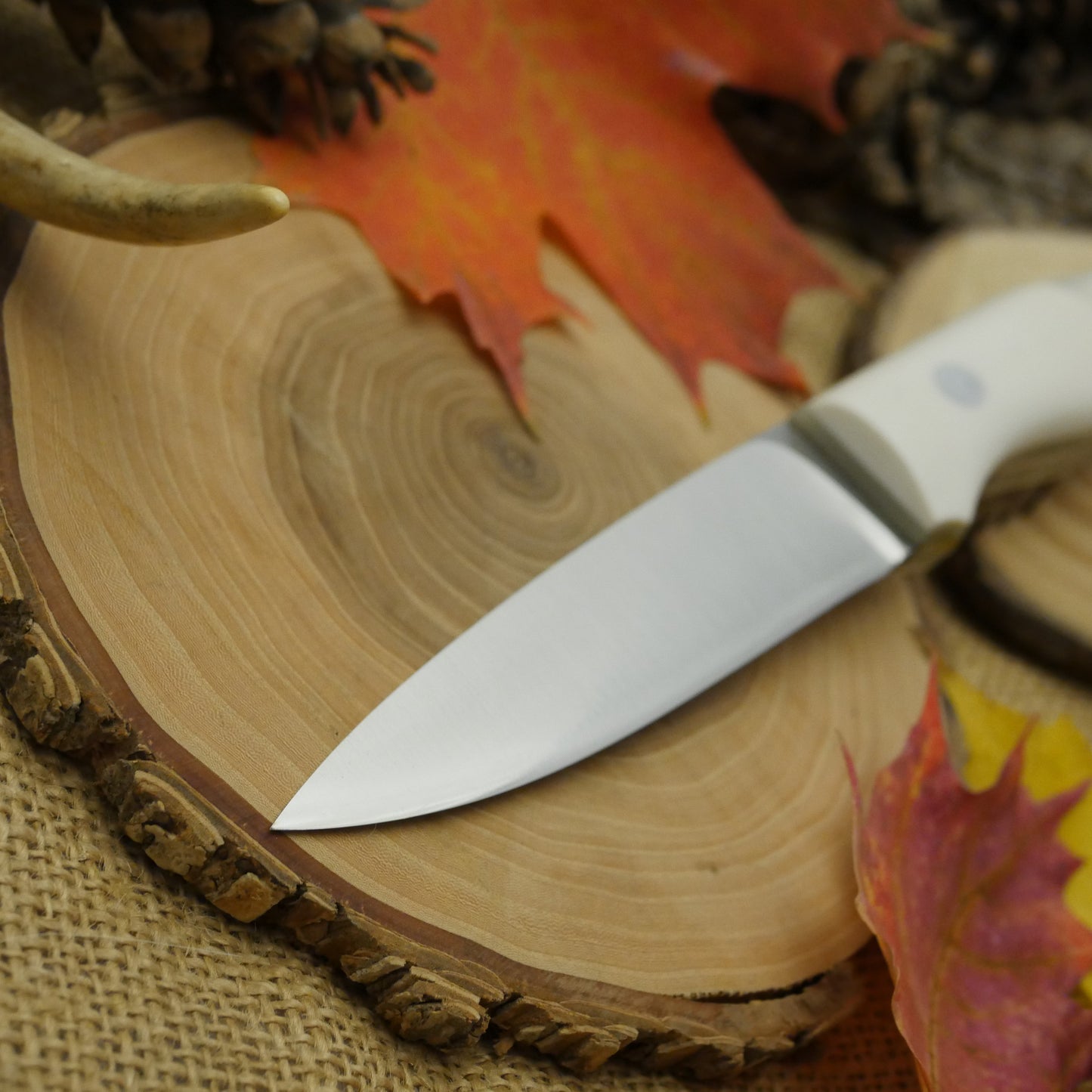 Mountaineer: Convex, White Linen & Moonglow
