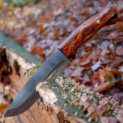 Custom Scout