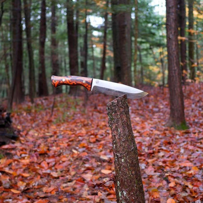 Custom Scout