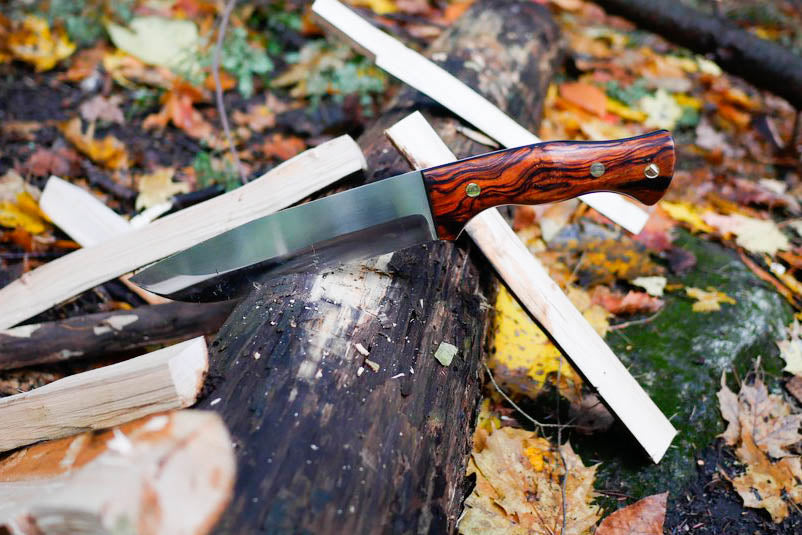 Custom Scout
