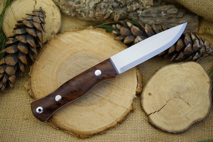 Explorer: Redwood Burl - Adventure Sworn Bushcraft Co.