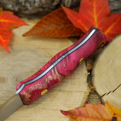 Voyageur: Red Box Elder Burl