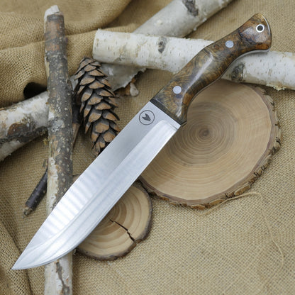 Scout: 3V, Stabilized Buckeye Burl