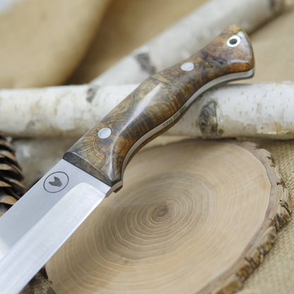 Scout: 3V, Stabilized Buckeye Burl