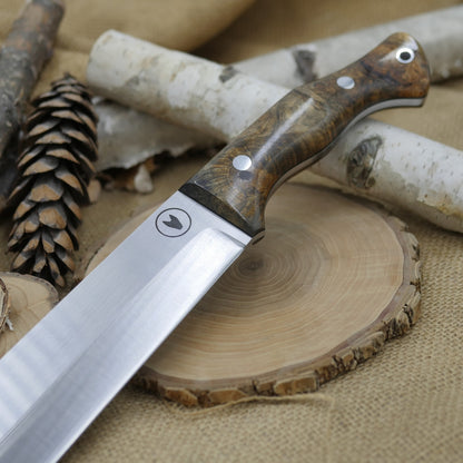 Scout: 3V, Stabilized Buckeye Burl