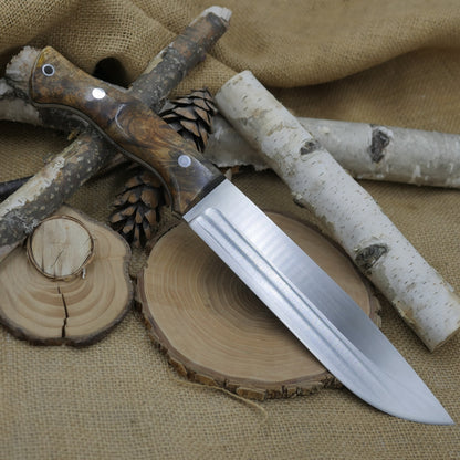 Scout: 3V, Stabilized Buckeye Burl