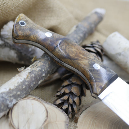 Scout: 3V, Stabilized Buckeye Burl