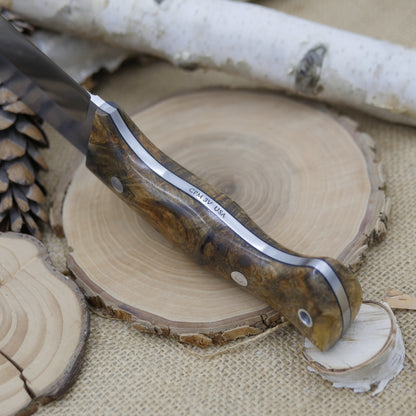Scout: 3V, Stabilized Buckeye Burl