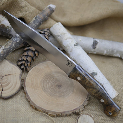 Scout: 3V, Stabilized Buckeye Burl