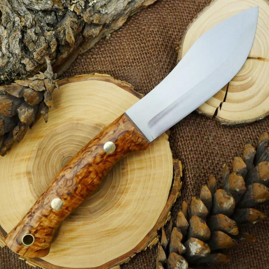 Guide #3: Karelian Birch & Brown - Adventure Sworn Bushcraft Co.