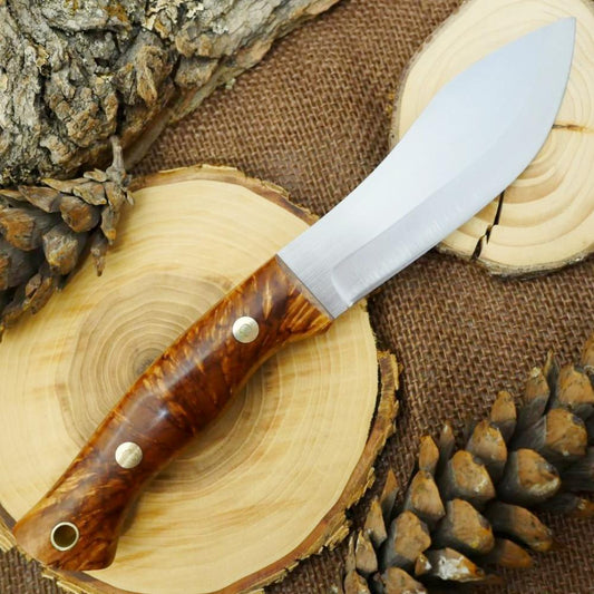 Guide #4: Karelian Birch & Brown - Adventure Sworn Bushcraft Co.