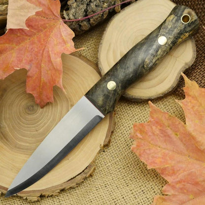 Mountaineer: Buckeye Burl & Red