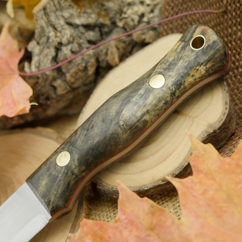Mountaineer: Buckeye Burl & Red