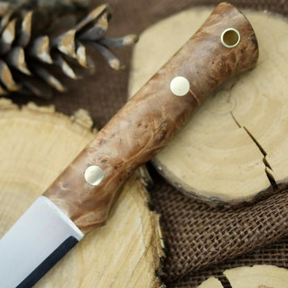 Voyageur: Maple Burl & Kelly Green