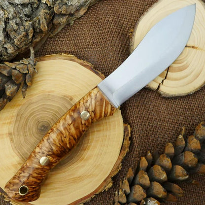 Guide #5: Karelian Birch & Brown - Adventure Sworn Bushcraft Co.