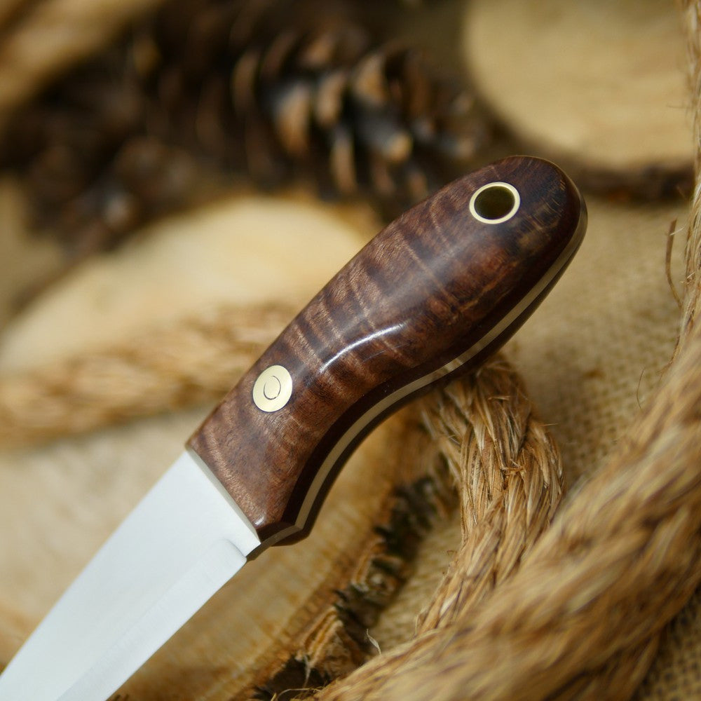 An Adventure Sworn Walker Bushcraft Knife with dark brown curly maple handle scales and thick maroon liners.