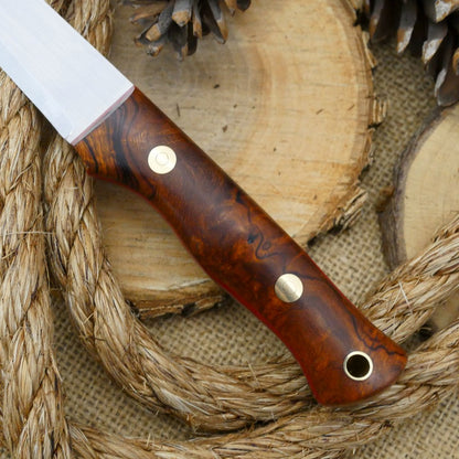 Voyageur: Ironwood Burl & Red Linen