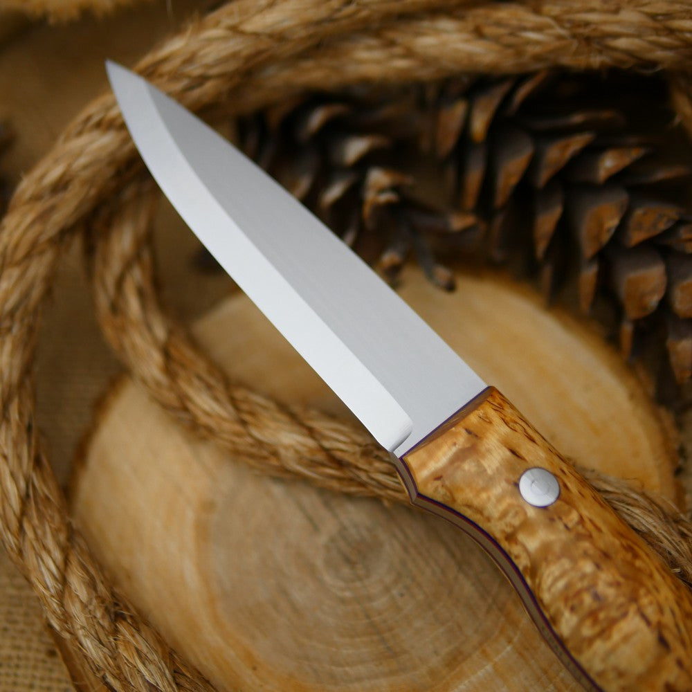 An Adventure Sworn Mountaineer bushcraft knife with karelian birch handle scales and thin blue and red liners.