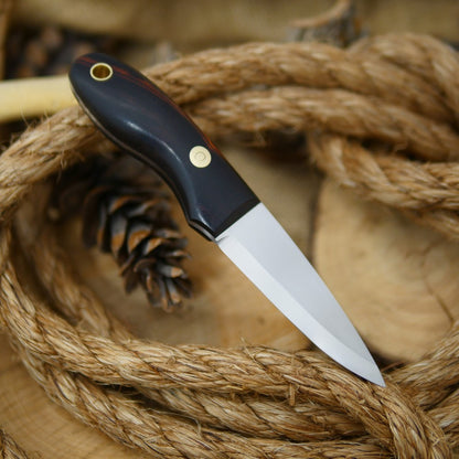 Walker: Arizona Desert Ironwood