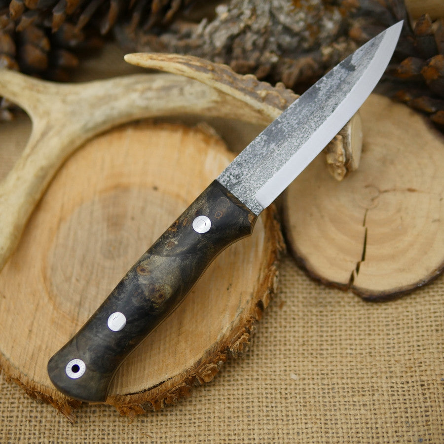 Classic: Dark Buckeye Burl - Adventure Sworn Bushcraft Co.
